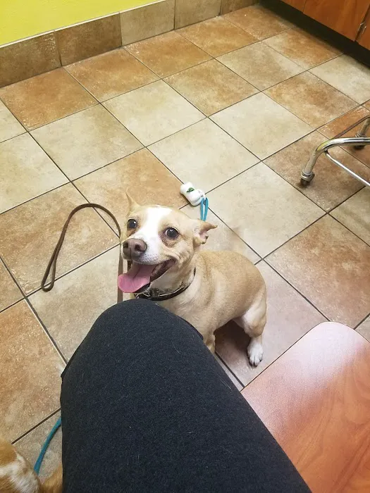 Banfield Pet Hospital Picture 10