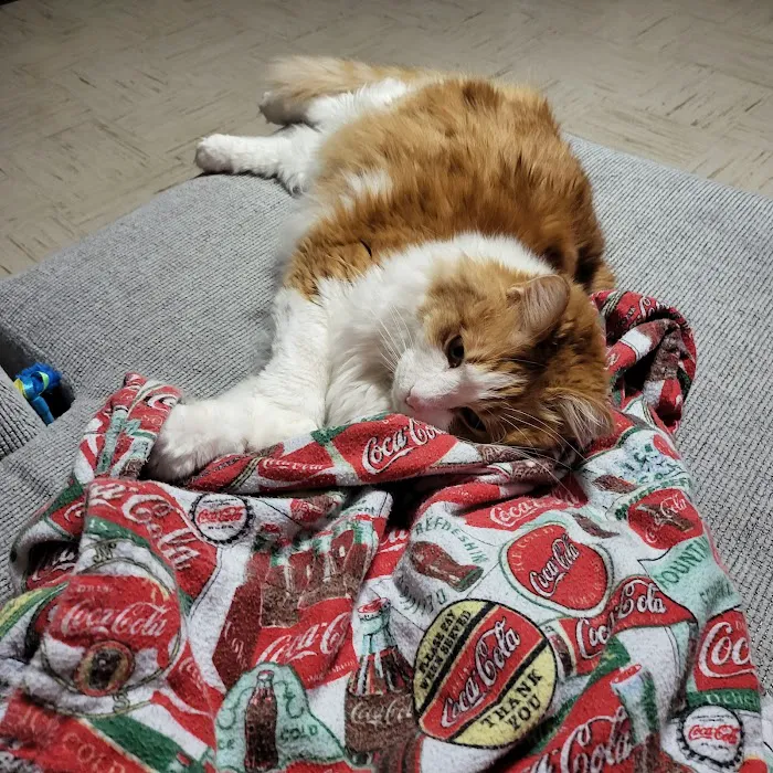 Banfield Pet Hospital Picture 7