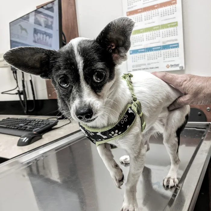 Banfield Pet Hospital Picture 8