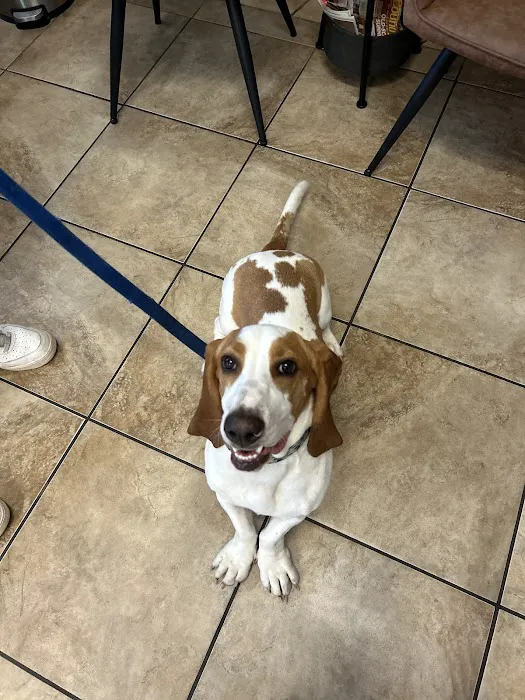 North Star 410 Animal Hospital Picture 5
