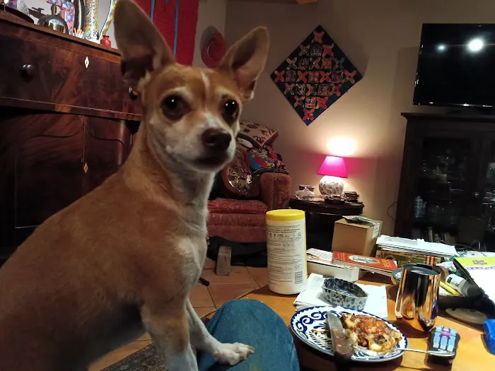 CityVet | Castle Hills Veterinary Clinic & Urgent Care Picture 3