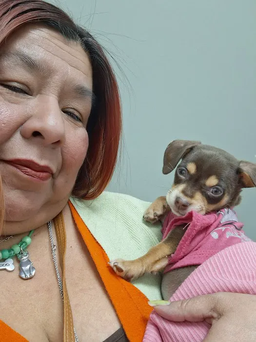 CityVet | Castle Hills Veterinary Clinic & Urgent Care Picture 4