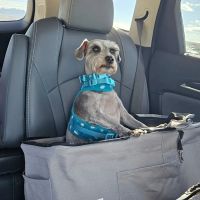 Amigo Animal Hospital ico