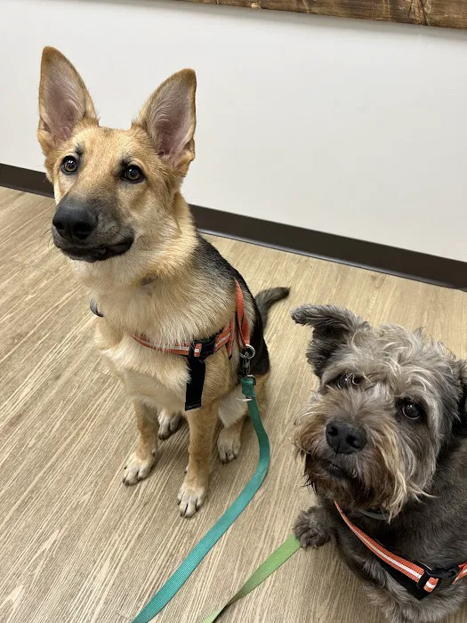 NDS Animal Hospital Picture 8