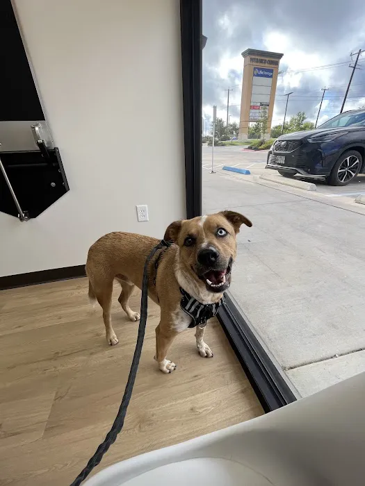 NDS Animal Hospital Picture 9