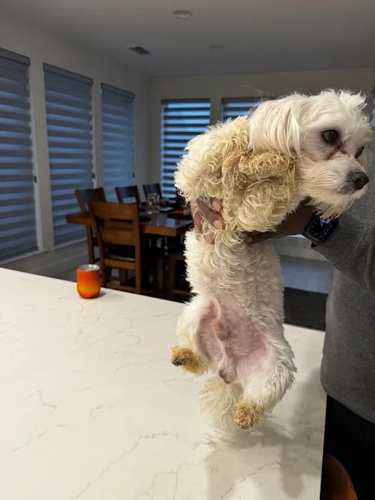 Culebra Creek Veterinary Hospital & Resort Picture 1