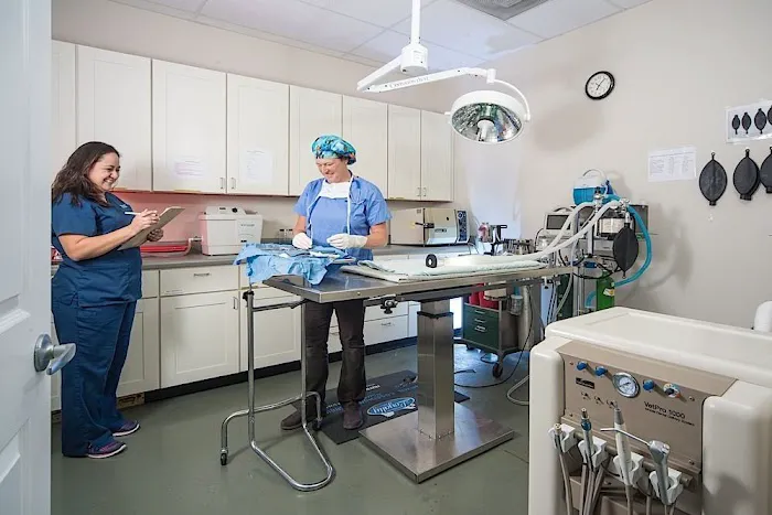 Culebra Creek Veterinary Hospital & Resort Picture 6