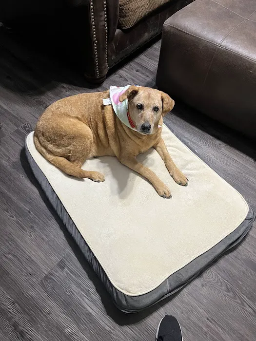 Thrive Pet Healthcare - Alamo Ranch Picture 1