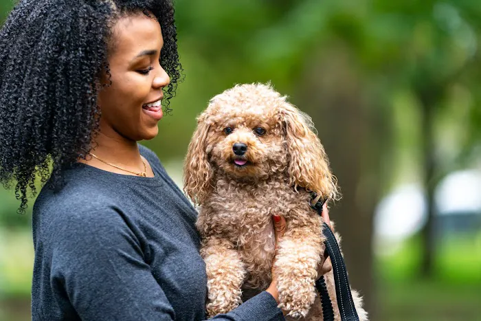 Thrive Pet Healthcare - Alamo Ranch Picture 7