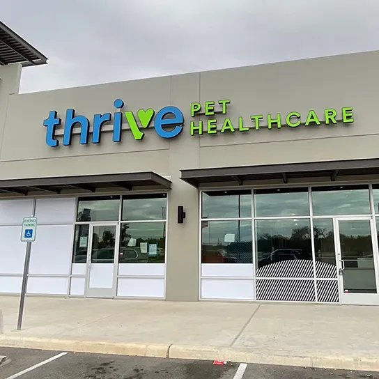 Thrive Pet Healthcare - Alamo Ranch Picture 10