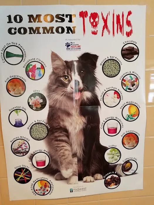 Pet Medical Center of San Antonio Picture 4