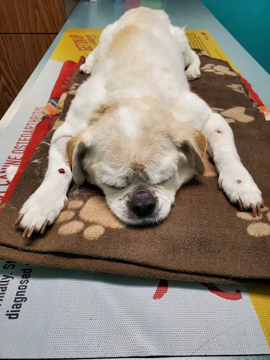 Babcock North Veterinary Hospital Picture 3