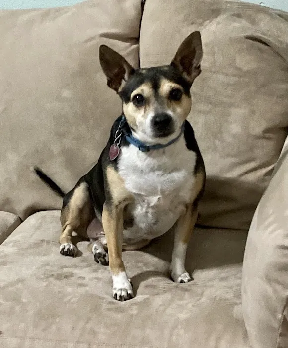 Babcock North Veterinary Hospital Picture 8