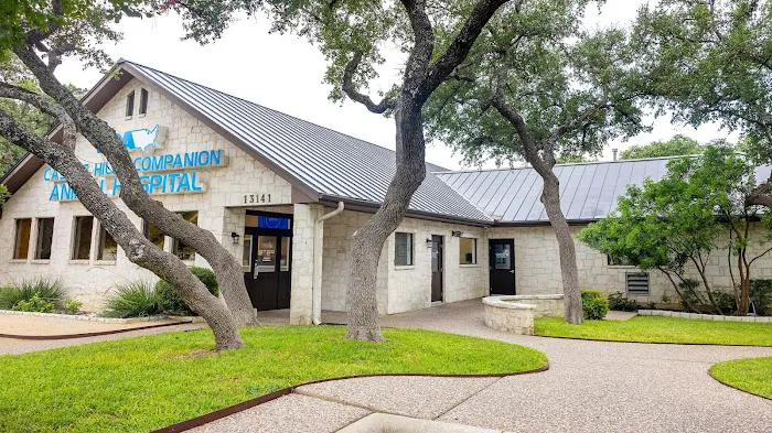 VCA Castle Hills Companion Animal Hospital Picture 4