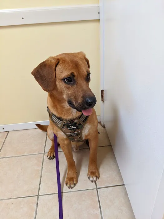 Somerset Animal Clinic Picture 5
