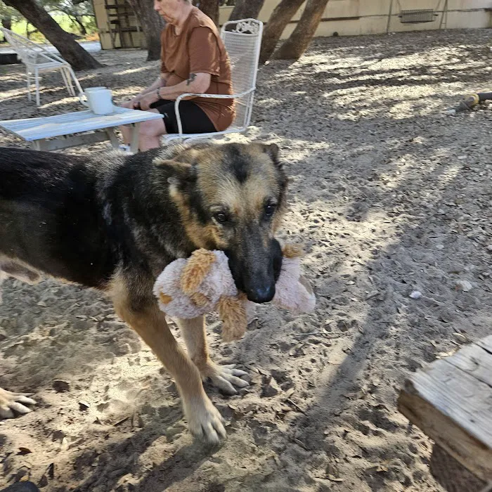 Somerset Animal Clinic Picture 7