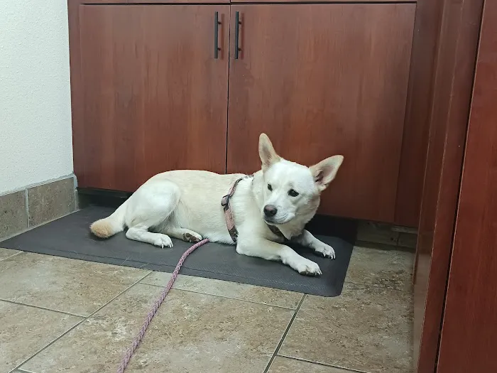 Somerset Animal Clinic Picture 10