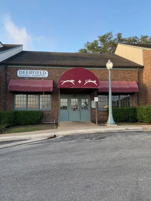 Deerfield Animal Hospital Picture 5