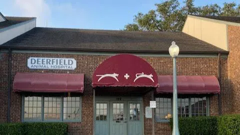 Deerfield Animal Hospital Picture 3