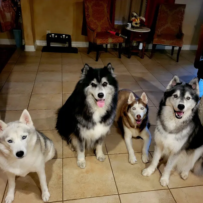 Deerfield Animal Hospital Picture 7