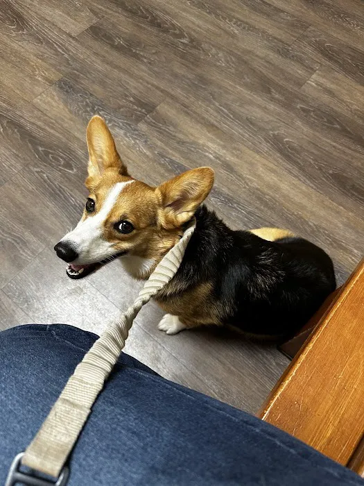 Deerfield Animal Hospital Picture 2