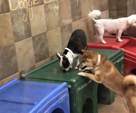 Banfield Pet Hospital