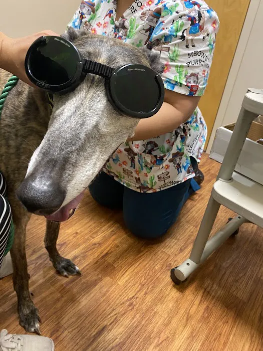 Pet Pals Veterinary Hospital Picture 7