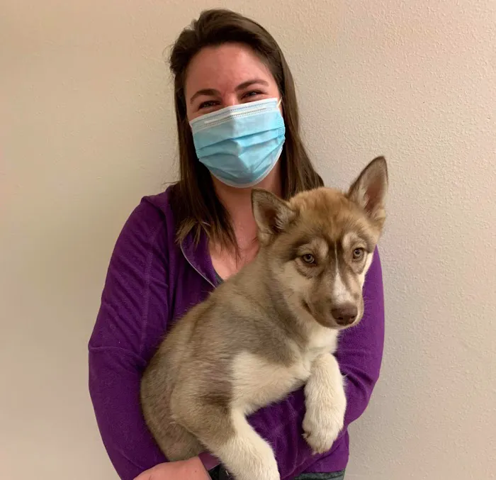 Pet Pals Veterinary Hospital Picture 6