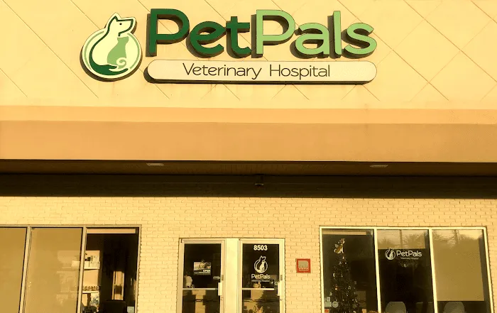 Pet Pals Veterinary Hospital Picture 10