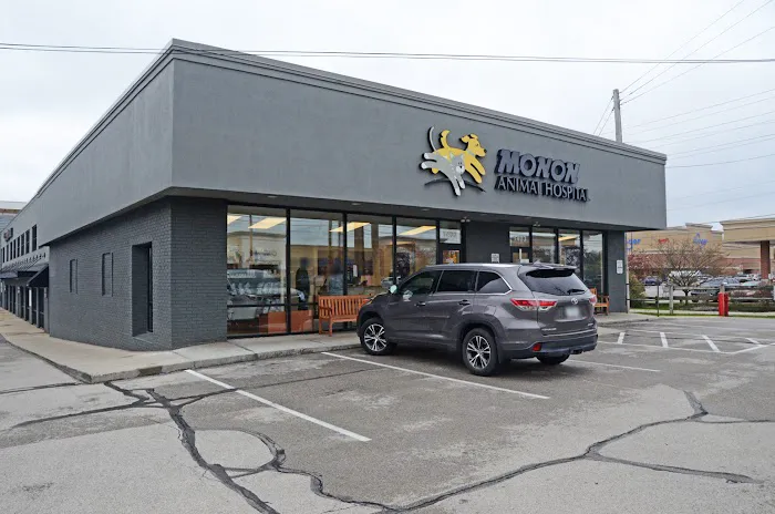 Monon Animal Hospital Picture 3
