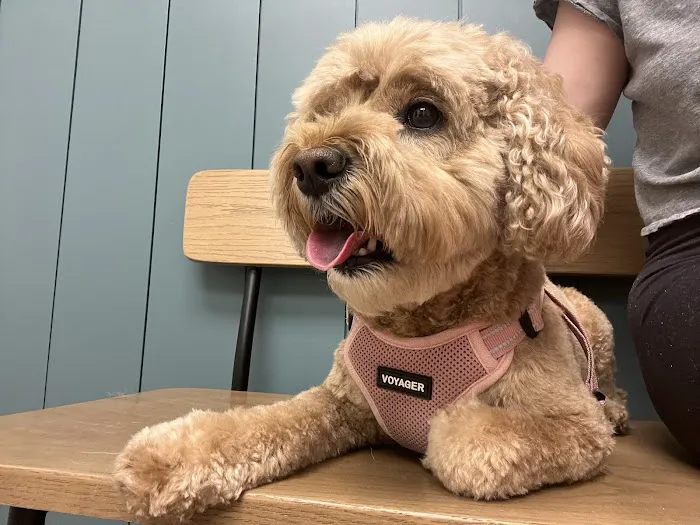 Monon Animal Hospital Picture 6