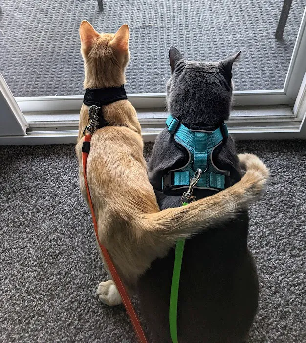 Monon Animal Hospital Picture 8