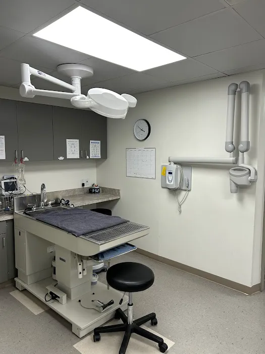Monon Animal Hospital Picture 10