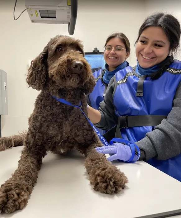 Veterinary Emergency Group Picture 9