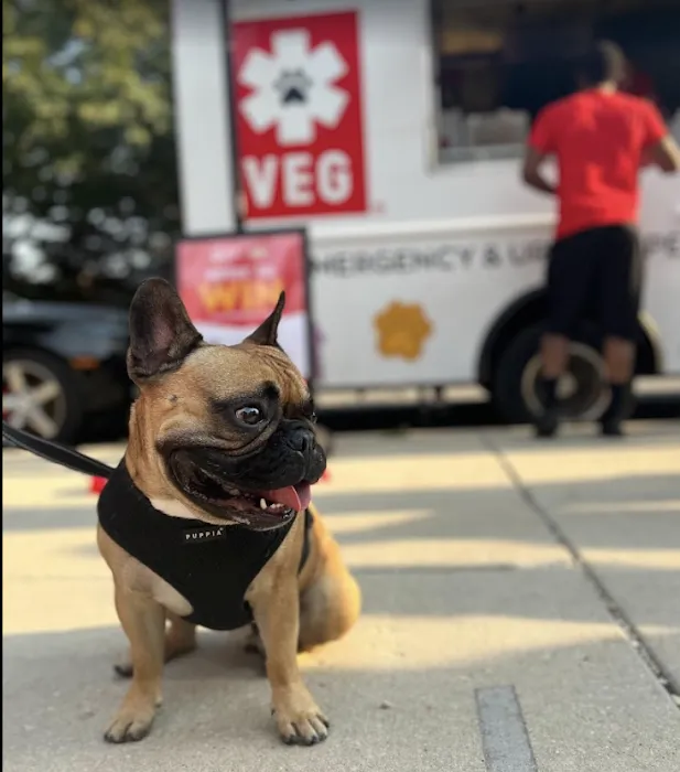 Veterinary Emergency Group Picture 10