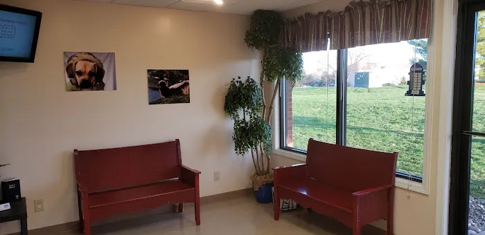 Vista Hills Animal Hospital Picture 9