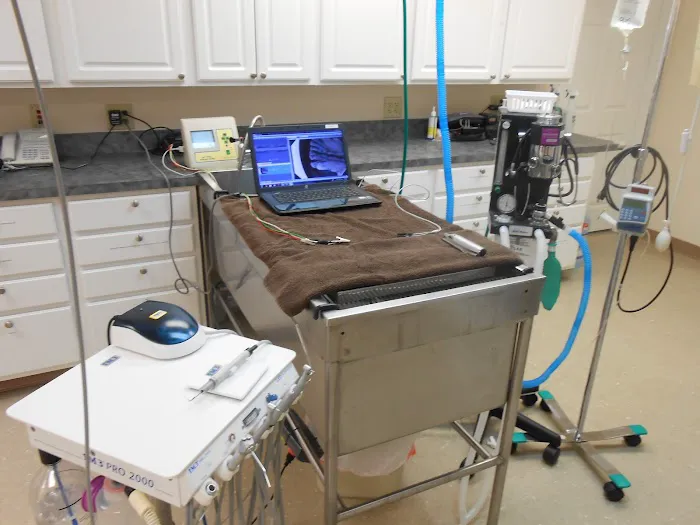 Vista Hills Animal Hospital Picture 3
