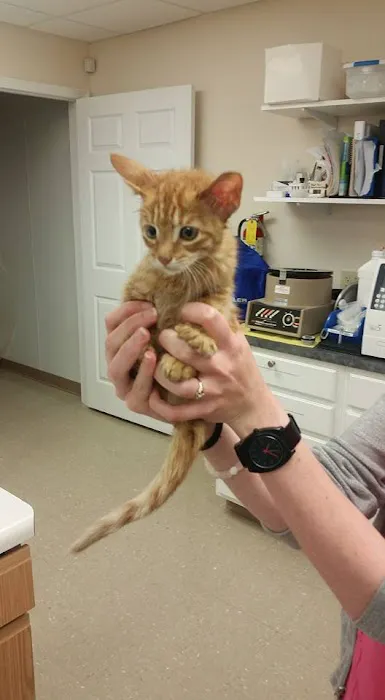 Vista Hills Animal Hospital Picture 8