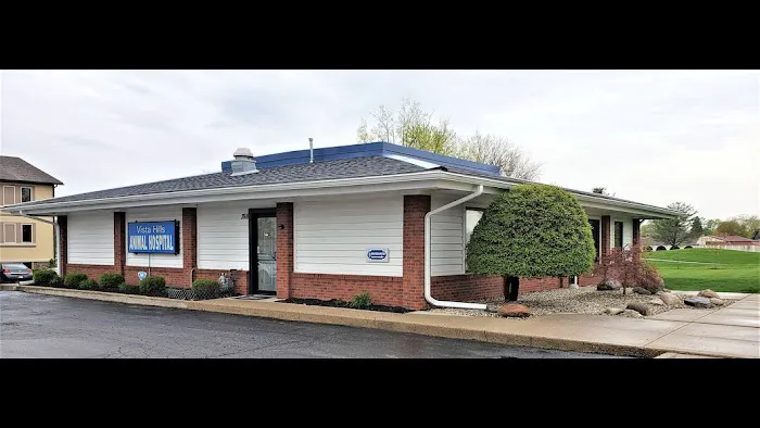 Vista Hills Animal Hospital Picture 2
