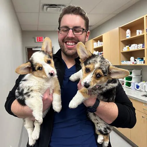 Geist Pet Wellness Clinic Picture 7