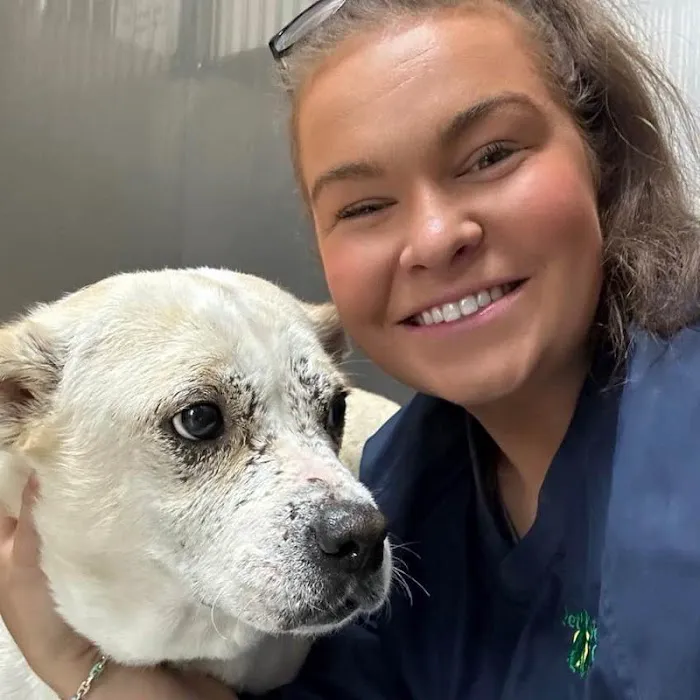 Geist Pet Wellness Clinic Picture 6