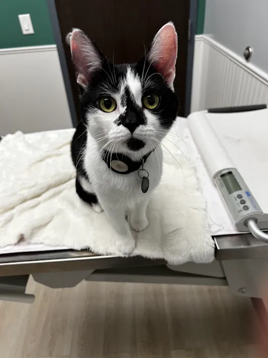 Oaklandon Family Vet Picture 3