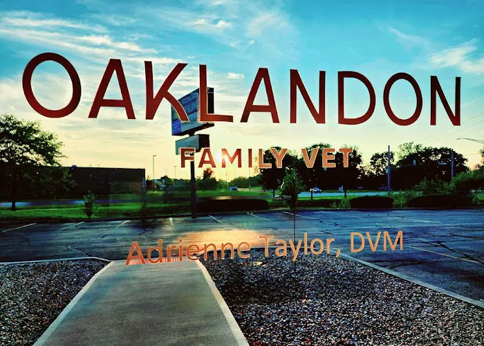 Oaklandon Family Vet Picture 5