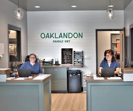 Oaklandon Family Vet