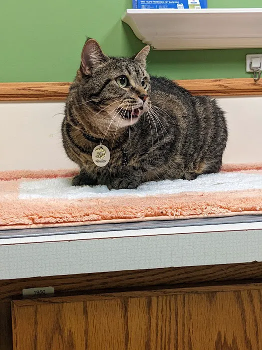 Noah's Caring Hands Animal Hospital at Geist Picture 2