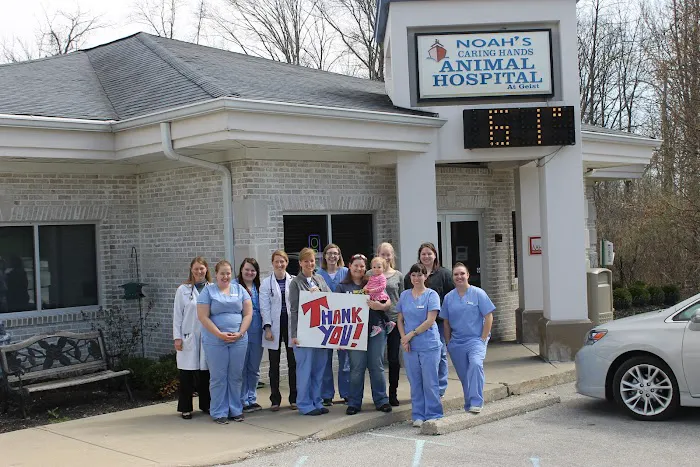 Noah's Caring Hands Animal Hospital at Geist Picture 4