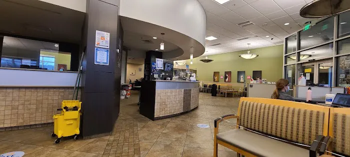 VCA Advanced Veterinary Care Center Picture 2