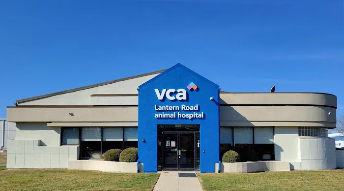 VCA Lantern Road Animal Hospital Picture 5