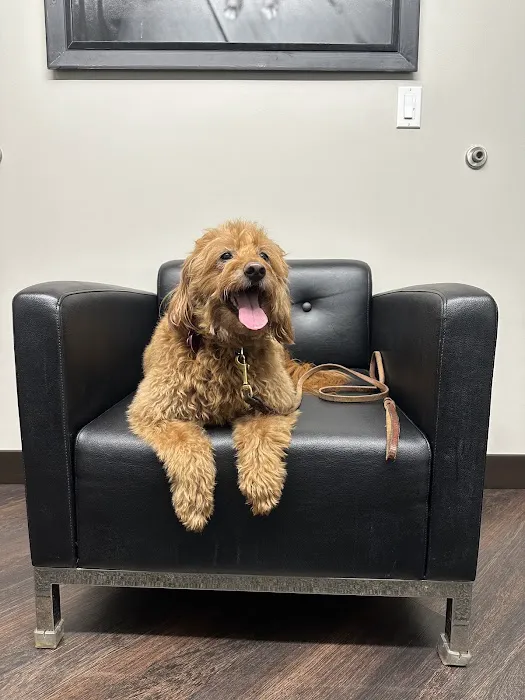 Windermere Animal Hospital Picture 4