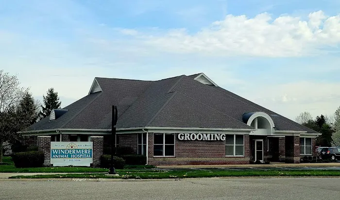 Windermere Animal Hospital Picture 5